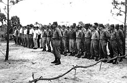 ������ ������ 4-�� ���� � ��������� ������� ��������. �������� �������